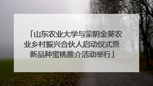 山东农业大学与蒙阴金葵农业乡村振兴合伙人启动仪式暨新品种蜜桃推介活动举行