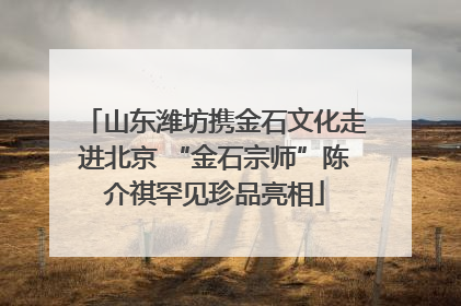 山东潍坊携金石文化走进北京 “金石宗师”陈介祺罕见珍品亮相
