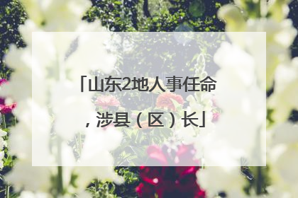 山东2地人事任命，涉县（区）长