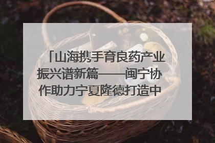 山海携手育良药产业振兴谱新篇——闽宁协作助力宁夏隆德打造中药材产业高地