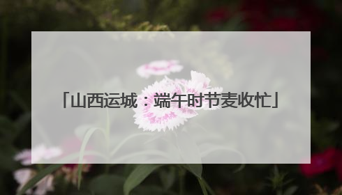 山西运城：端午时节麦收忙