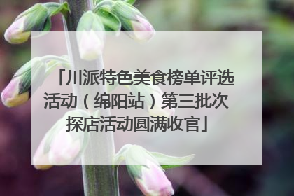 川派特色美食榜单评选活动（绵阳站）第三批次探店活动圆满收官