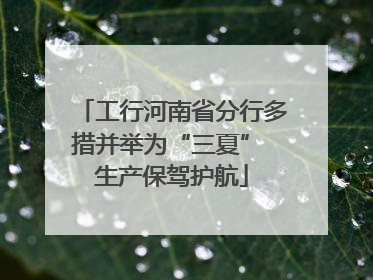 工行河南省分行多措并举为“三夏” 生产保驾护航