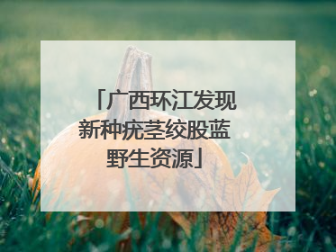 广西环江发现新种疣茎绞股蓝野生资源