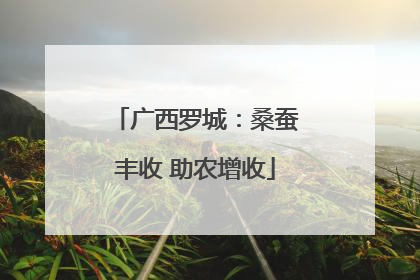 广西罗城：桑蚕丰收 助农增收