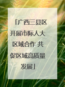 广西三县区开展市际人大区域合作 共促区域高质量发展