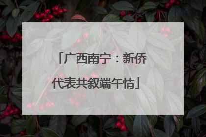 广西南宁：新侨代表共叙端午情