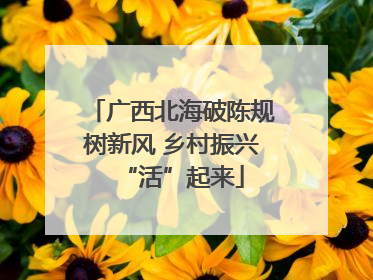广西北海破陈规树新风 乡村振兴“活”起来