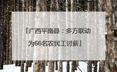 广西平南县：多方联动为66名农民工讨薪