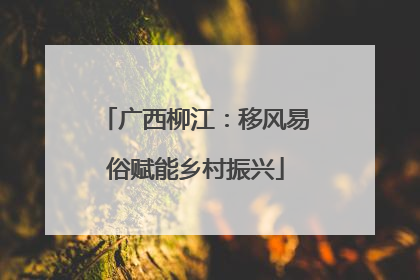 广西柳江：移风易俗赋能乡村振兴