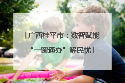 广西桂平市：数智赋能“一窗通办”解民忧