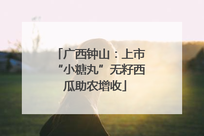 广西钟山：上市“小糖丸”无籽西瓜助农增收