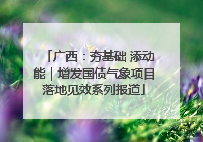 广西：夯基础 添动能｜增发国债气象项目落地见效系列报道