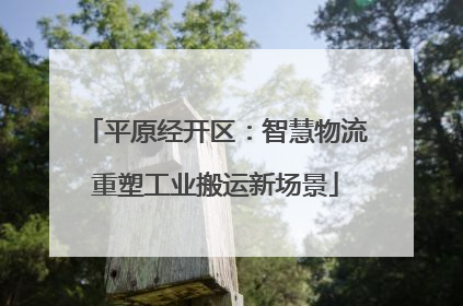 平原经开区：智慧物流重塑工业搬运新场景