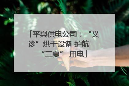 平舆供电公司：“义诊”烘干设备 护航 “三夏” 用电
