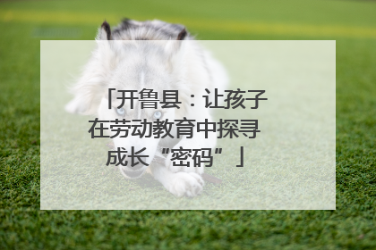 开鲁县：让孩子在劳动教育中探寻成长“密码”