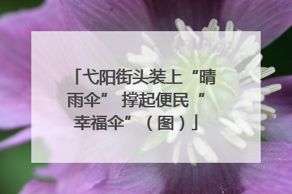 弋阳街头装上“晴雨伞” 撑起便民“幸福伞”（图）
