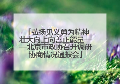 弘扬见义勇为精神 壮大向上向善正能量——北京市政协召开调研协商情况通报会