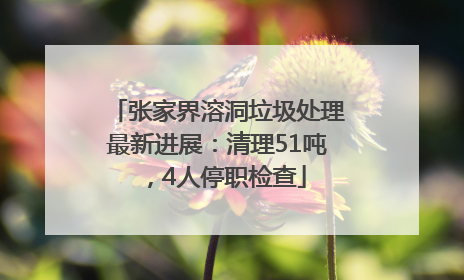 张家界溶洞垃圾处理最新进展：清理51吨，4人停职检查