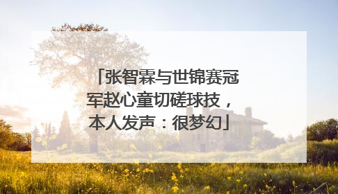 张智霖与世锦赛冠军赵心童切磋球技，本人发声：很梦幻