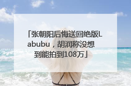 张朝阳后悔送回绝版Labubu，胡润称没想到能拍到108万