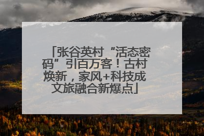 张谷英村“活态密码”引百万客！古村焕新，家风+科技成文旅融合新爆点