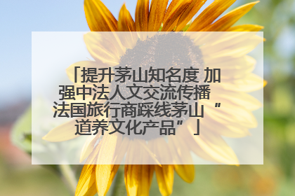 提升茅山知名度 加强中法人文交流传播 法国旅行商踩线茅山“道养文化产品”