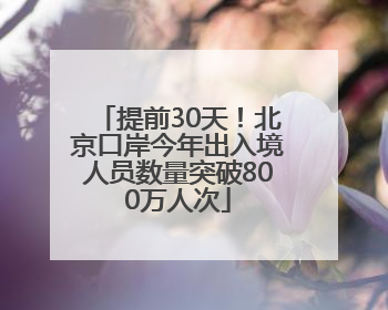 提前30天！北京口岸今年出入境人员数量突破800万人次