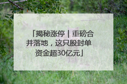揭秘涨停｜重磅合并落地，这只股封单资金超30亿元