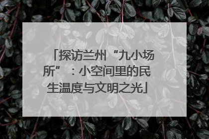 探访兰州“九小场所”：小空间里的民生温度与文明之光