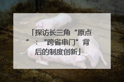 探访长三角“原点”：“跨省串门”背后的制度创新
