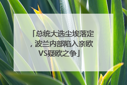 总统大选尘埃落定，波兰内部陷入亲欧VS疑欧之争