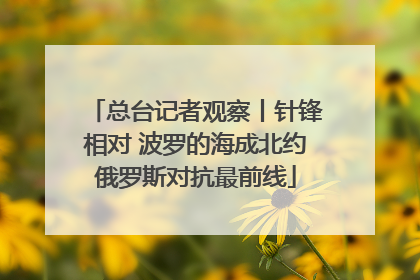 总台记者观察丨针锋相对 波罗的海成北约俄罗斯对抗最前线
