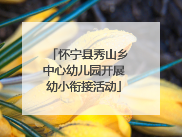 怀宁县秀山乡中心幼儿园开展幼小衔接活动