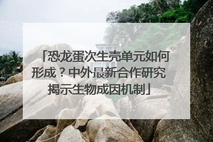 恐龙蛋次生壳单元如何形成?中外最新合作研究揭示生物成因机制
