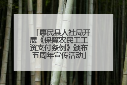 惠民县人社局开展《保障农民工工资支付条例》颁布五周年宣传活动