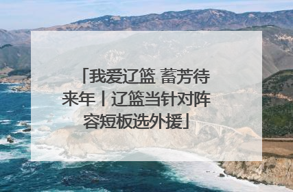 我爱辽篮 蓄芳待来年丨辽篮当针对阵容短板选外援