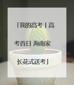 我的高考丨高考首日 海南家长花式送考