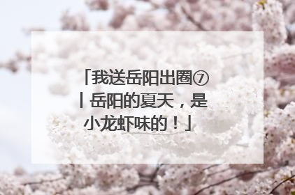 我送岳阳出圈⑦丨岳阳的夏天，是小龙虾味的！