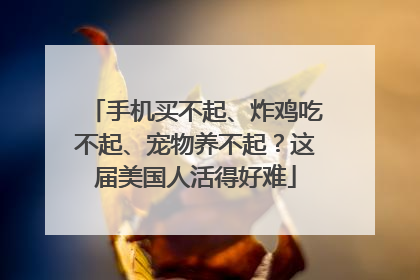 手机买不起、炸鸡吃不起、宠物养不起？这届美国人活得好难