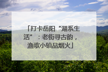 打卡岳阳“湖系生活”：老街寻古韵，渔歌小镇品烟火