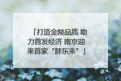 打造金陵品质 助力首发经济 南京迎来首家“胖东来”