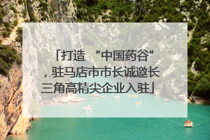 打造 “中国药谷”，驻马店市市长诚邀长三角高精尖企业入驻