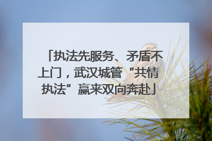 执法先服务、矛盾不上门，武汉城管“共情执法”赢来双向奔赴