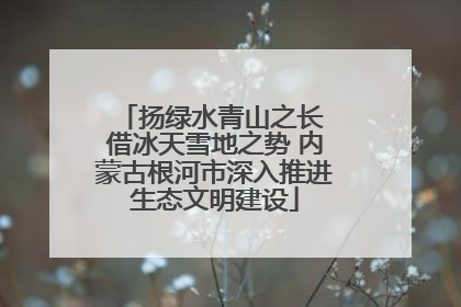 扬绿水青山之长 借冰天雪地之势 内蒙古根河市深入推进生态文明建设