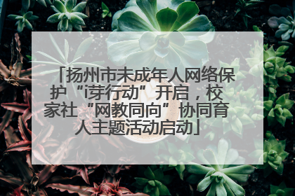 扬州市未成年人网络保护“i芽行动”开启，校家社“网教同向”协同育人主题活动启动