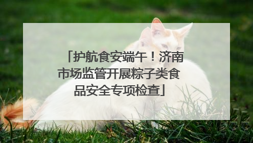 护航食安端午！济南市场监管开展粽子类食品安全专项检查