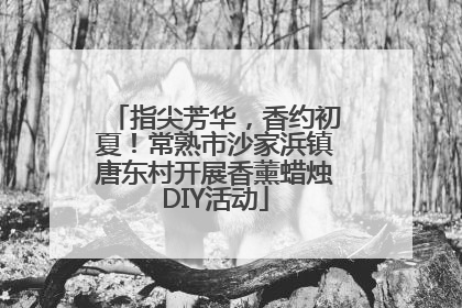 指尖芳华，香约初夏！常熟市沙家浜镇唐东村开展香薰蜡烛DIY活动
