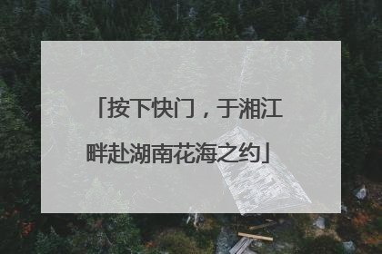 按下快门，于湘江畔赴湖南花海之约