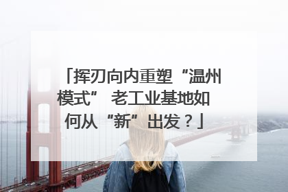 挥刃向内重塑“温州模式” 老工业基地如何从“新”出发？